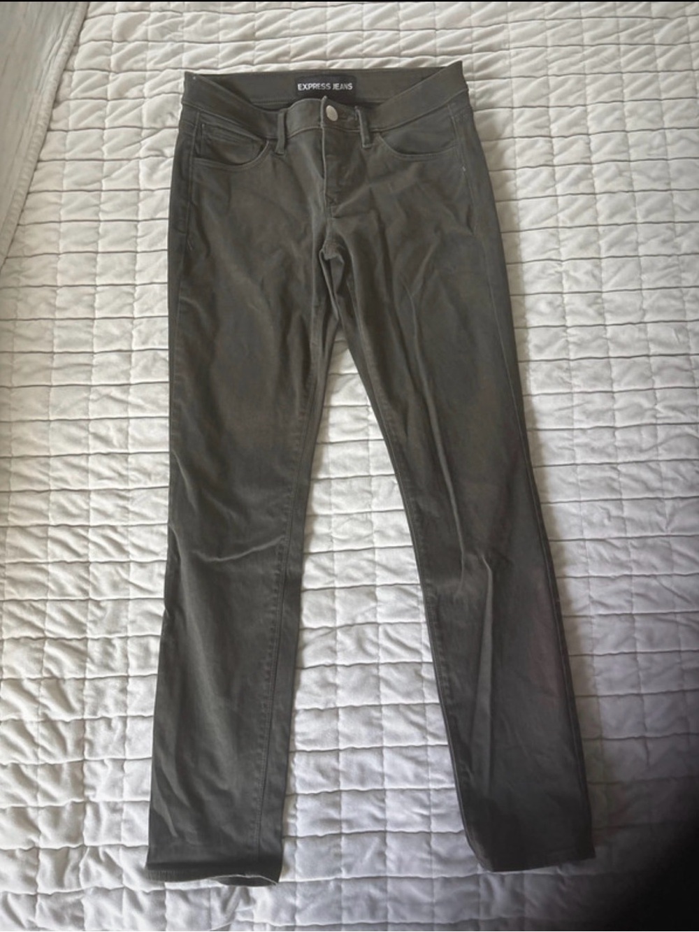 Express Straight Leg Pants in Olive